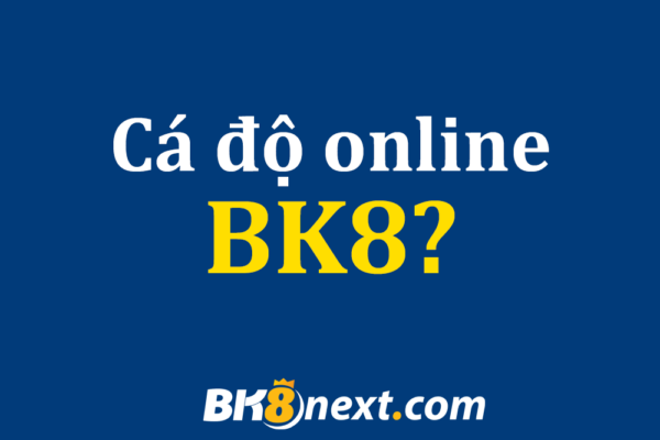 Hướng dẫn chơi cá độ bóng đá BK8 đơn giản, dễ thao tác