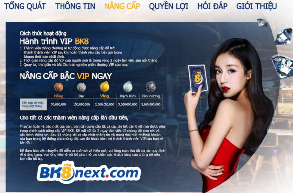 Làm thế nào để trở thành thành viên Vip BK8