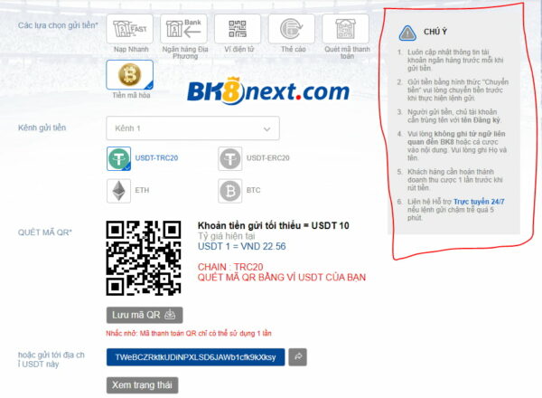 Những điều cần biết khi thanh toán cá cược trực tuyến BK8
