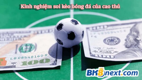 Học lỏm cách soi kèo từ cao thủ